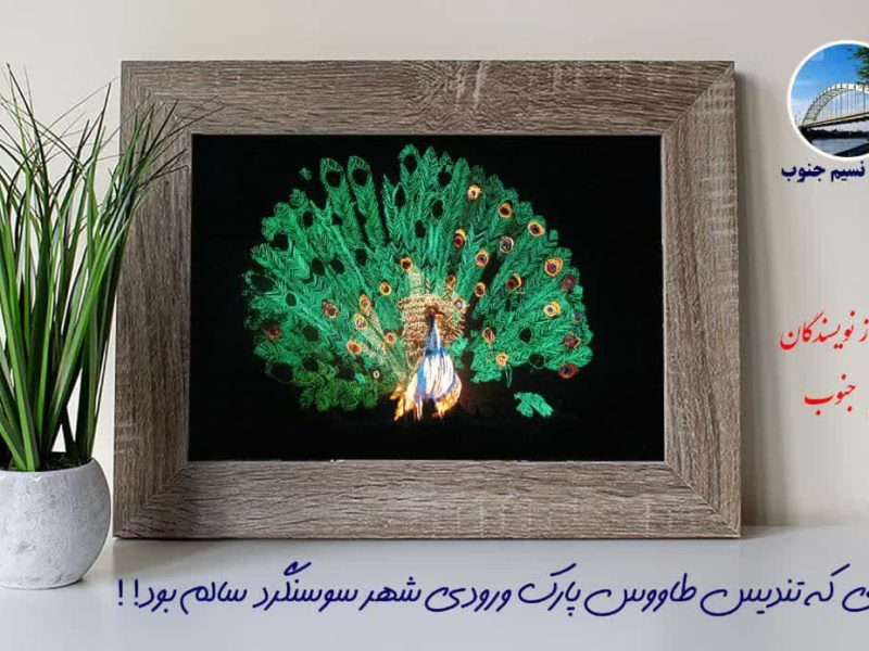 عکس طاووس سوسنگرد