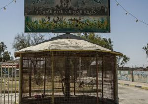 باغوحش هویزه با دستور دادستان پلمپ شد