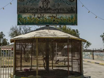 باغوحش هویزه با دستور دادستان پلمپ شد